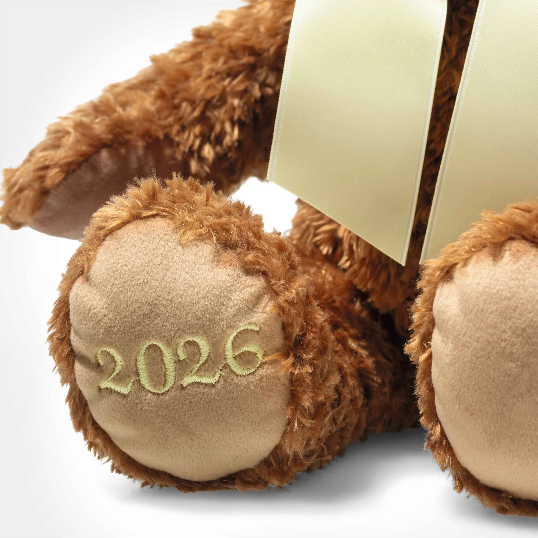 2026 Cozy Teddy Bear of the Year - Image 3