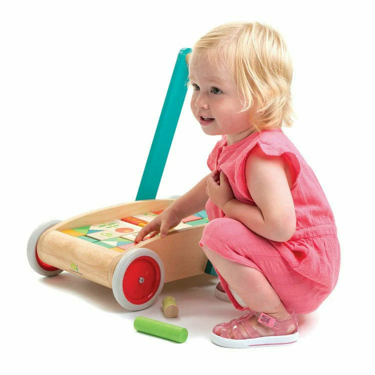 Baby Block Walker - Image 4