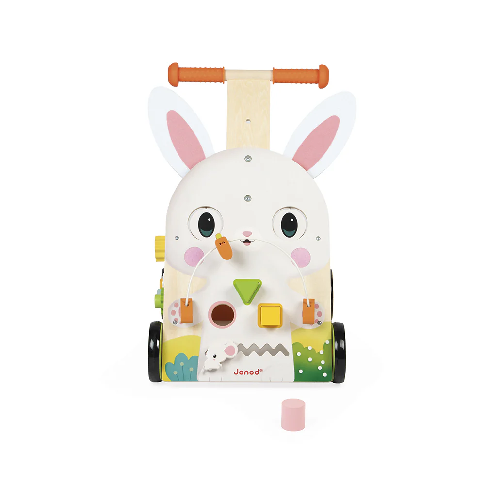 Farm Multi-Activity Baby Walker