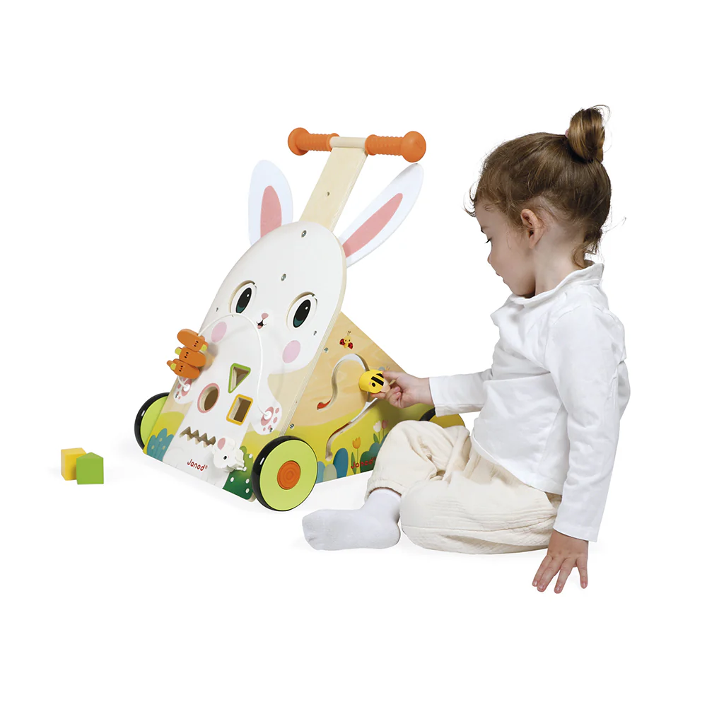 Farm Multi-Activity Baby Walker - Image 4