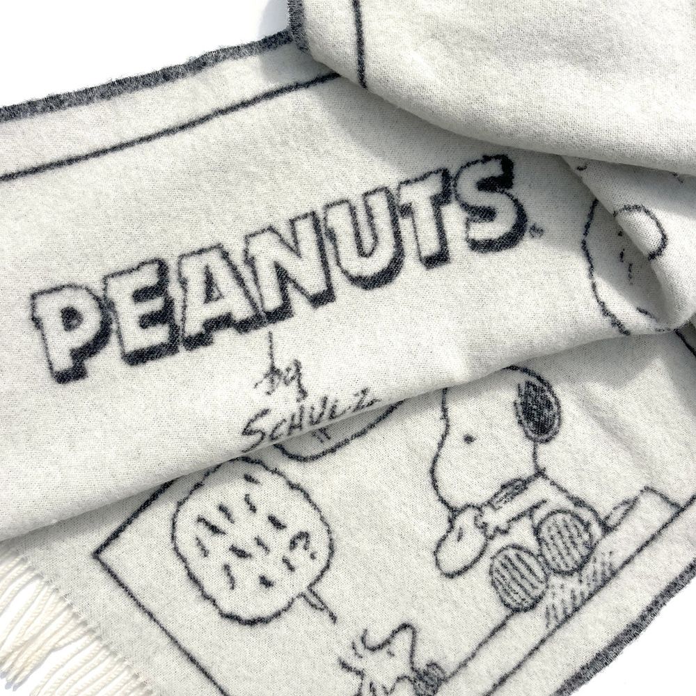 Peanuts Blanket - Doughnut Comic - Image 6