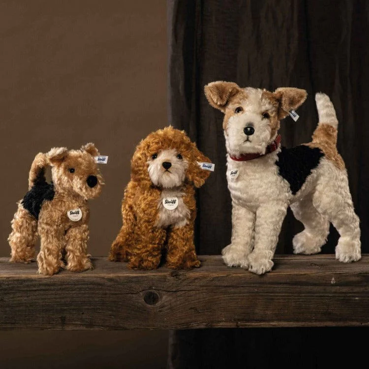 Ricky Cockapoo - Image 3