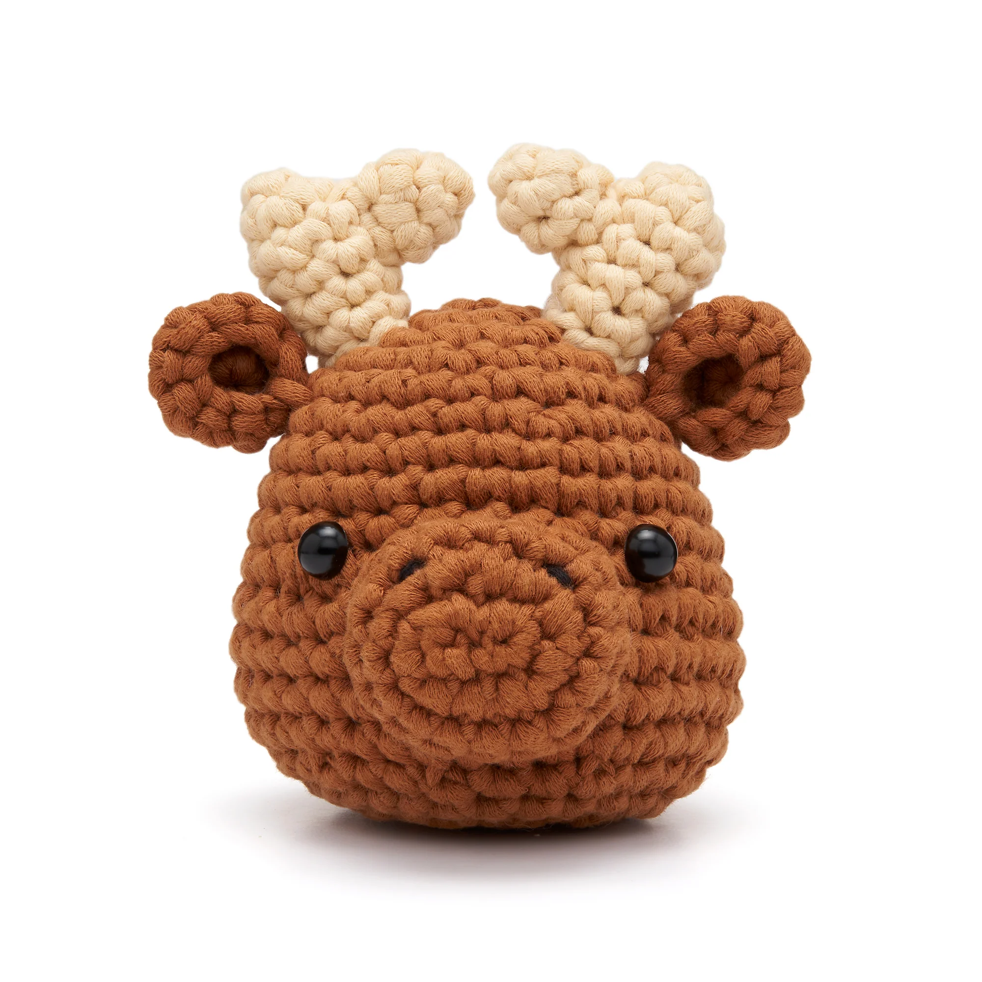 Roosevelt the Moose Learn to Crochet Kit - Image 2