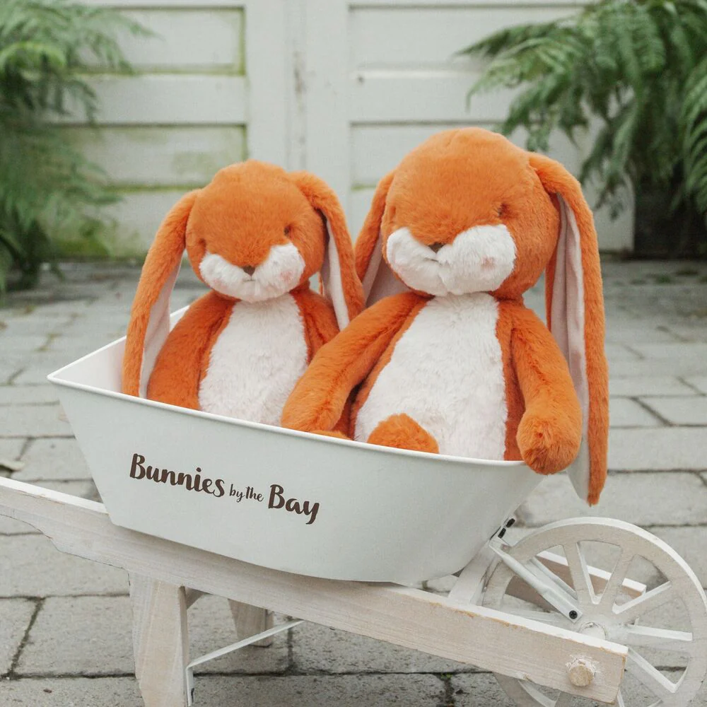 Sweet 16" Floppy Nibble Bunny – Carrot - Image 2
