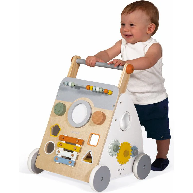 Sweet Cocoon Multi-Activity Walker - Image 2